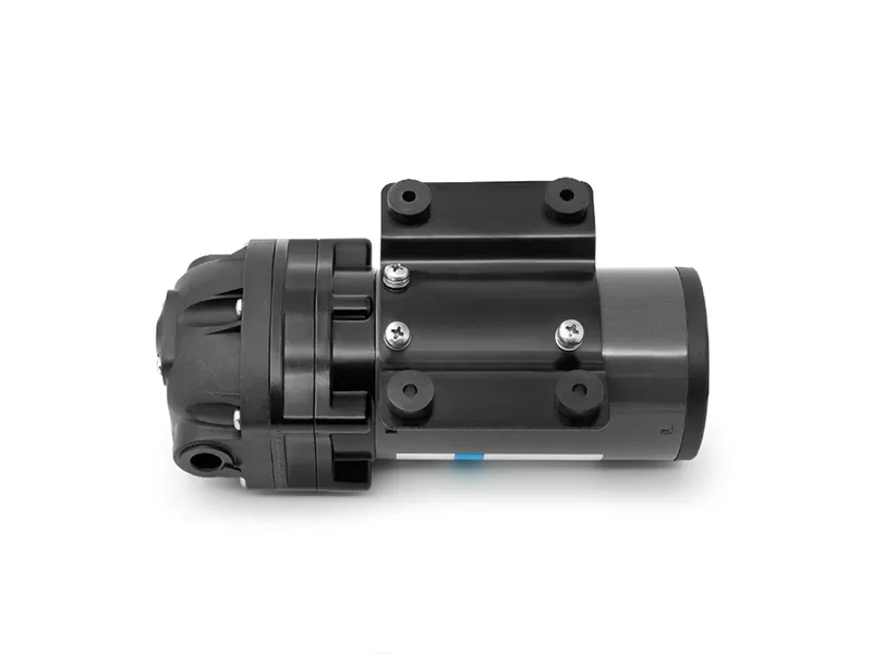 إل إف بي800جي بي دي-إيه